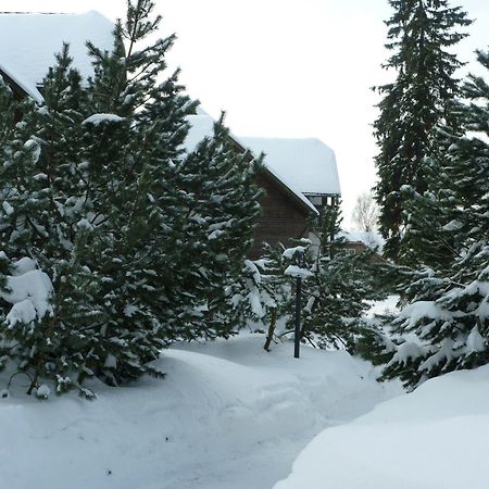 Hapimag Ferienwohnungen Braunlage Buitenkant foto