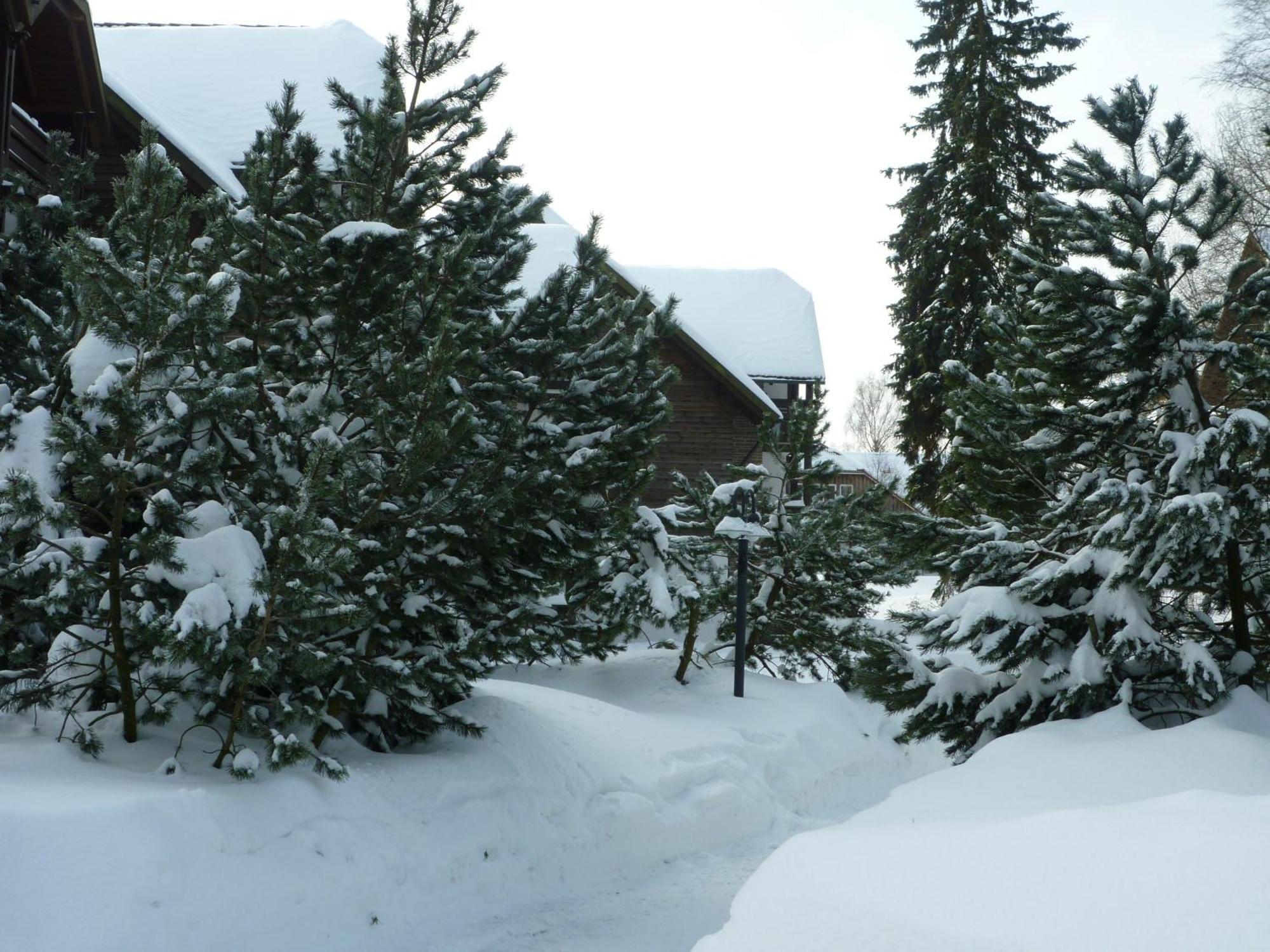 Hapimag Ferienwohnungen Braunlage Buitenkant foto